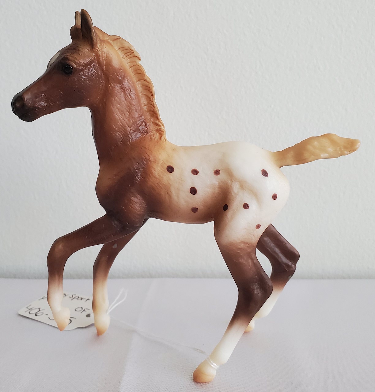 Chestnut SemiLeopard Appaloosa Stallion & Chestnut Blanket Appaloosa